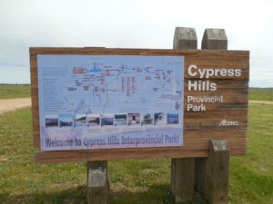 Cypress Hills Park Map