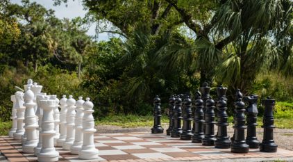 outdoor chess set
